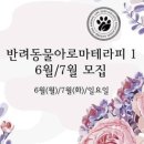 더힐테라피센터 이미지