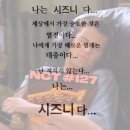 멍즈니랜드 | NCT127 디유니티 마카오 후기 - 지독한 P가 혼자 해투 가는 법