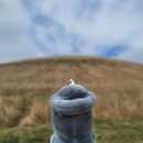 씨클리프호텔제주 이미지