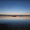 배곧한울공원 이미지