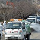 소들농장 이미지