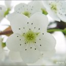 은한농장 이미지