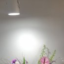 라비앙플라워 이미지