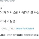 보성아이스크림 이미지