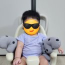 헤어그라또 이미지