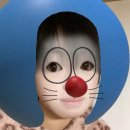 보또굿즈 | 김대영니가내첫번째아이돌이라고