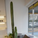 커피맛을 조금아는남자 이미지