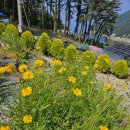 욕지도펜션리조트 | 욕지도가족펜션 힐링하기 좋은 곳! 욕지도펜션리조트 방문 후기