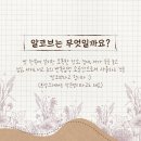 알코브홈