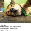 한*대