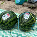 행복누리고펜션 이미지