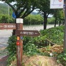 울산대교전망대주차장화장실 이미지