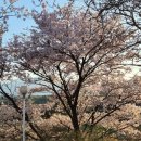 삼포마당넓은집 이미지