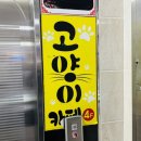 냐옹냐옹고양이카페 네이버블로그