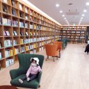 디딤카페 3호점 이미지