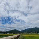 예일스테이 이미지