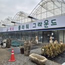 남동화원 | 인천 화훼단지 나들이! 구월동 문학 선유플라워 방문 후기