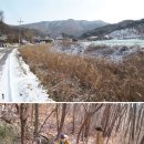 관한1리경로당 이미지