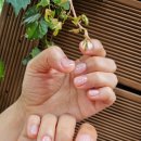 예스티엘 디자인센터 | [대구 동구 네일] 효목동 ‘네일오쏭’에서 영롱보스...받고 온 솔직 후기✨ (feat. 문제성 네일 전문샵)