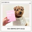 헬씨코드