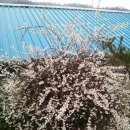 수봉농원 이미지