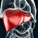 아임메디컬 이미지