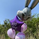 사라앤마르코 이미지