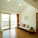 뉴스프링빌2 이미지