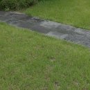 선수촌로 이미지