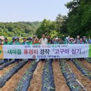 대조2리 이미지