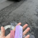 성수] 3월 성수 팝업스토어 평일 다녀온 후기 3CE 이니스프리 퓌 아지트 비비 밤양갱 마몽드 서울 여행...