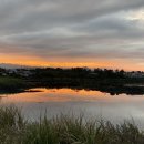 스테이동백 이미지