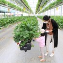 진행농장 이미지