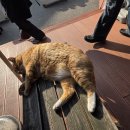 건축사사무소 포럼건축 | 2025 제11회 시니어 산업·헬스케어 실버타운 개발포럼 참석 후기