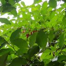 (주) 선영 이미지