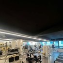 쑥 피트니스 이미지