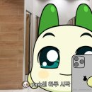 촉도대하
