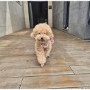 더블루네스 이미지