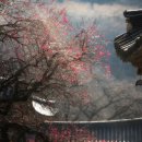 화엄사1로 이미지