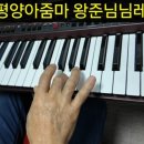 쏠전자올겐