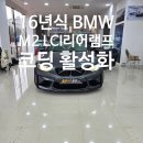 16년식 BMW F87 M2 LCI 리어램프 코딩 활성화 [서산 옵션카스토리]