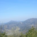 제347차 토요산악회(천안/아산)토요주말산행-2011년1월8일 금계산(575m)산행 이미지