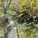 야호캠프 이미지