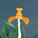 (주)금화 이미지