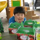 태경농원 이미지