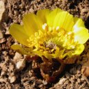 상구1리 이미지