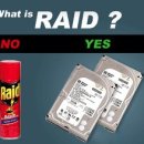 Raid PC 이미지
