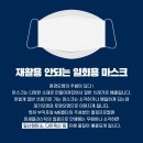 손빚 이미지