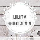 욜로와 이미지