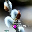 3.1절 공휴일이자,봄(春)이 시작인 첫날! 이미지